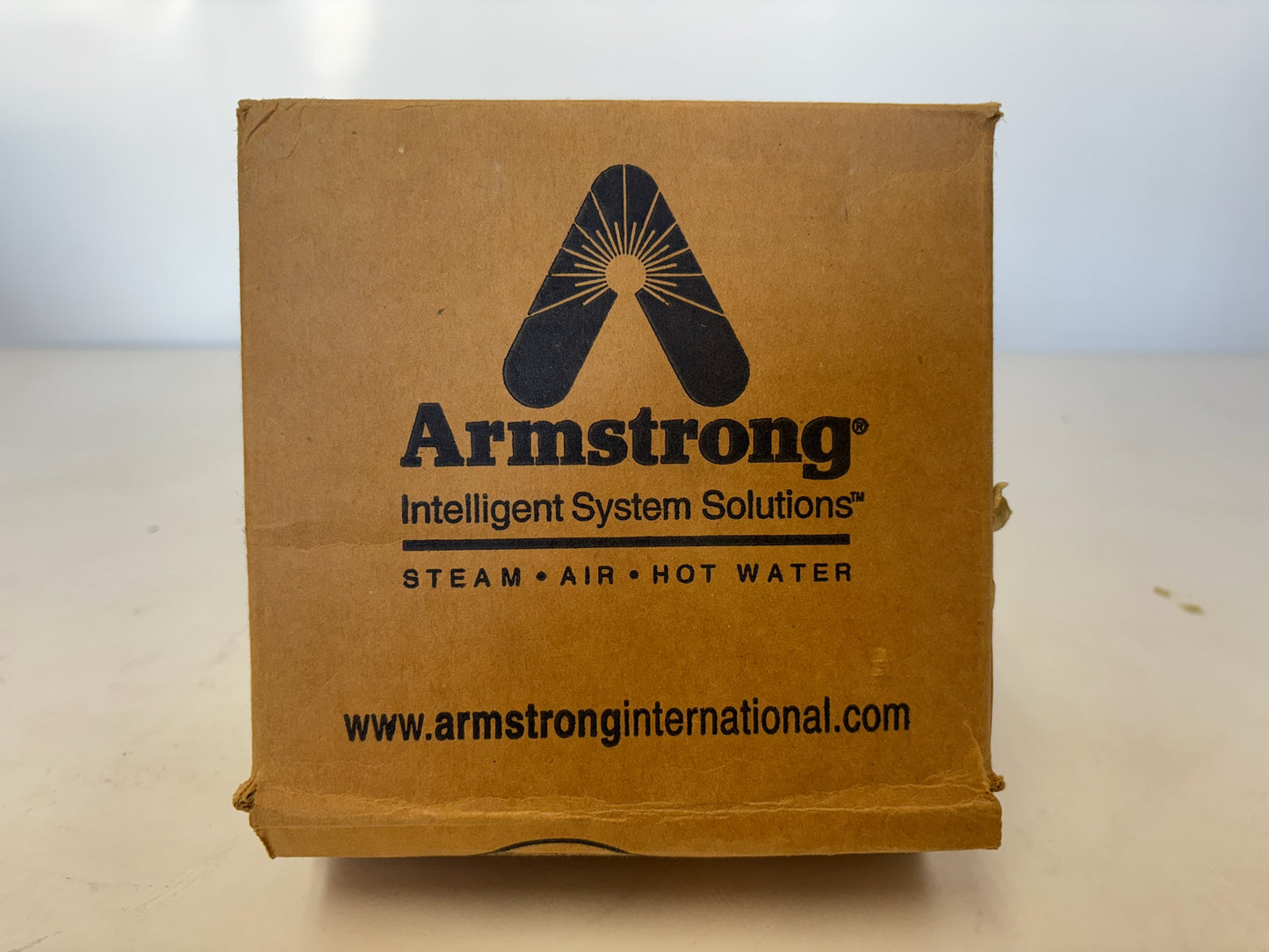 New Armstrong D1175-5 A Series Float & Thermostatic Steam Trap