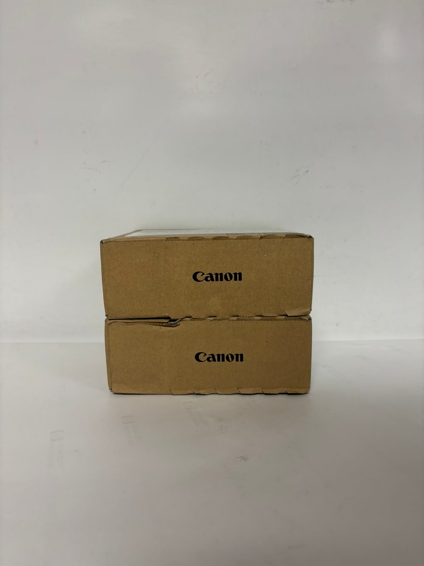 2 New OEM Canon TX2000,TX3000,TX4000 Ink Tanks PFI-110BK, PFI-110MBK (EXP: 2023)