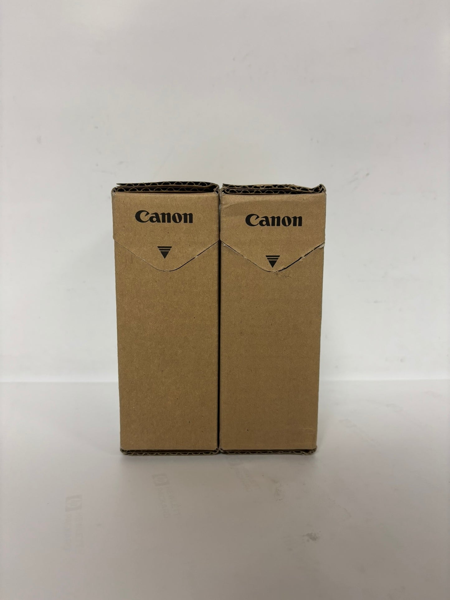 2 New OEM Canon TX2000,TX3000,TX4000 Ink Tanks PFI-110BK, PFI-110MBK (EXP: 2023)